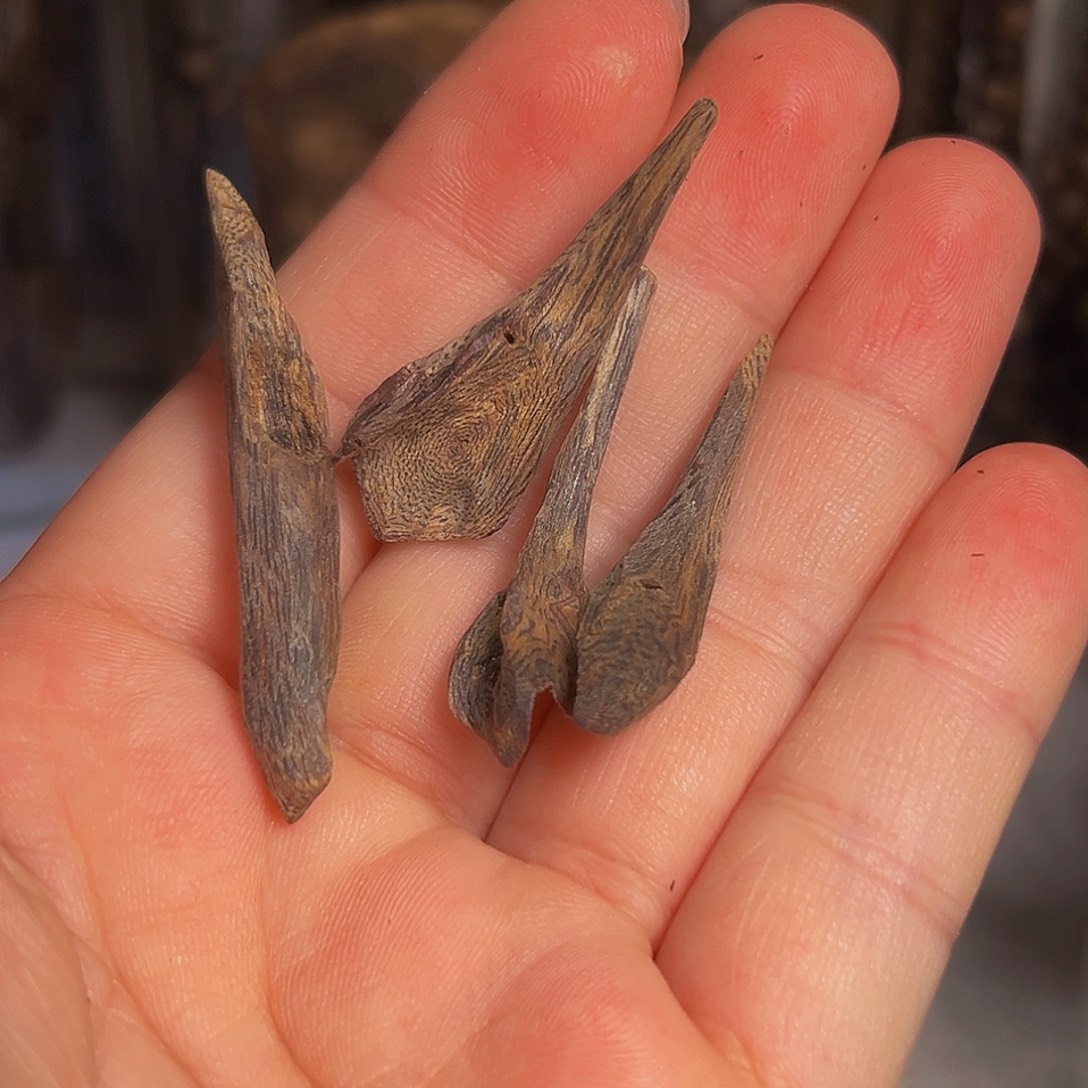 半***多沉香沉香碎屑海南沉香块料