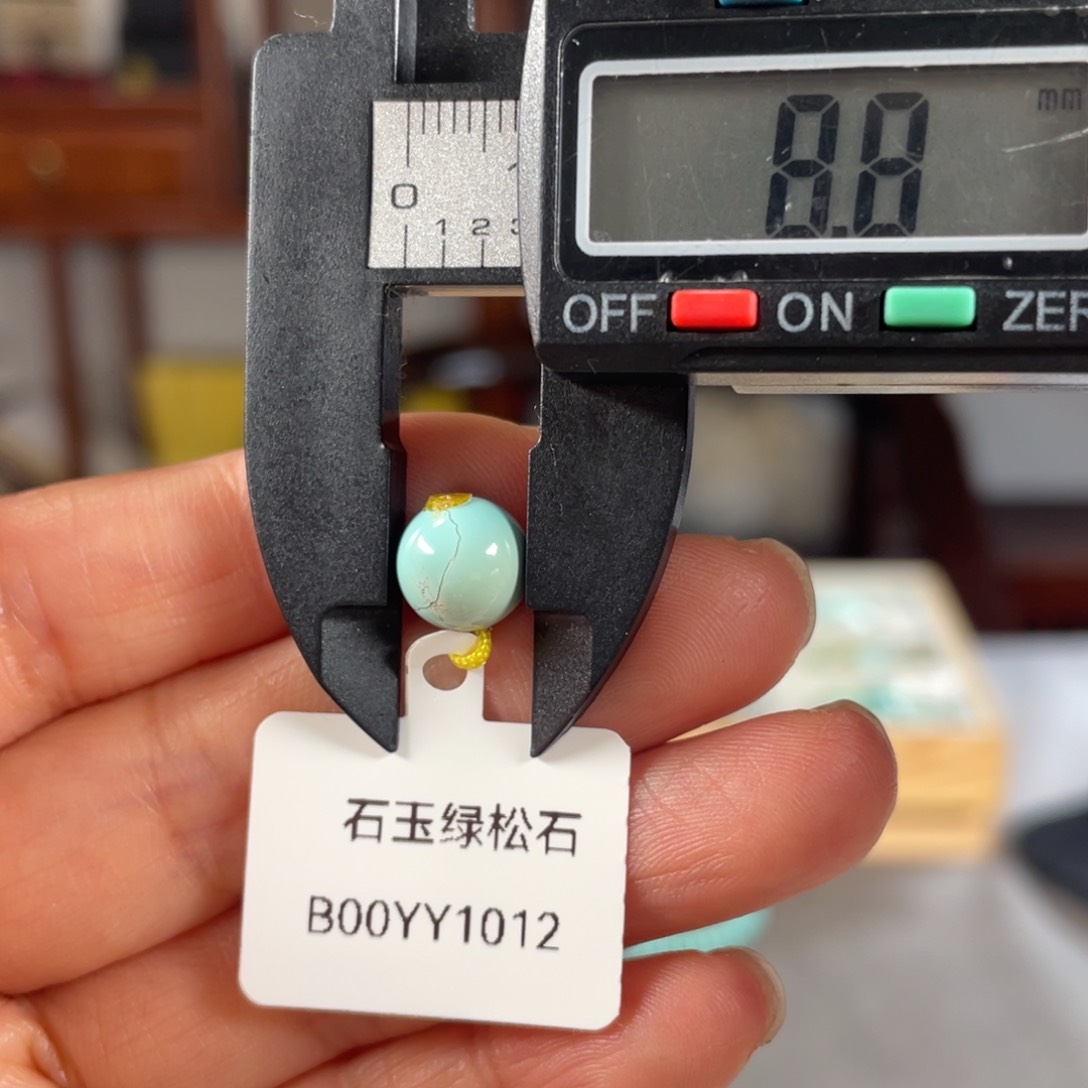 绿松石颈饰未镶嵌