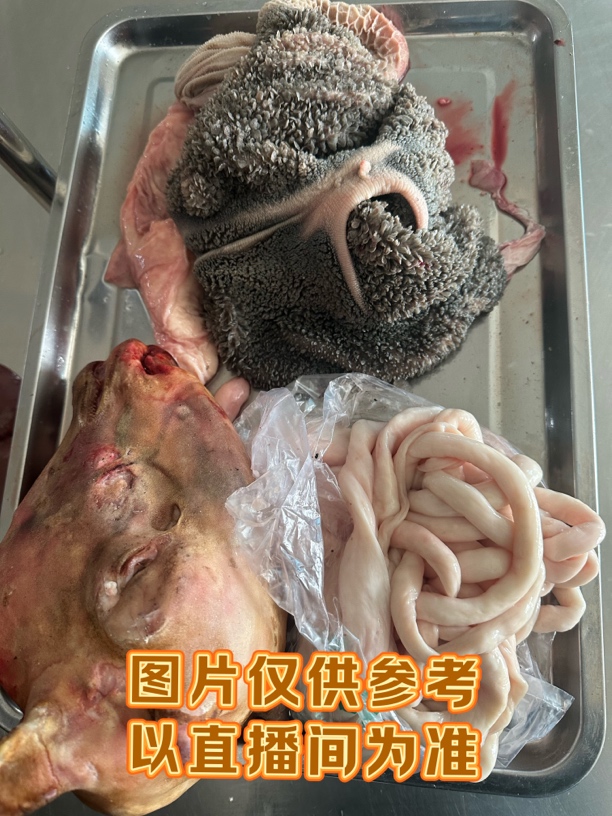 东北溜达羊 三斤羊肚 三斤羊肠 一个羊头