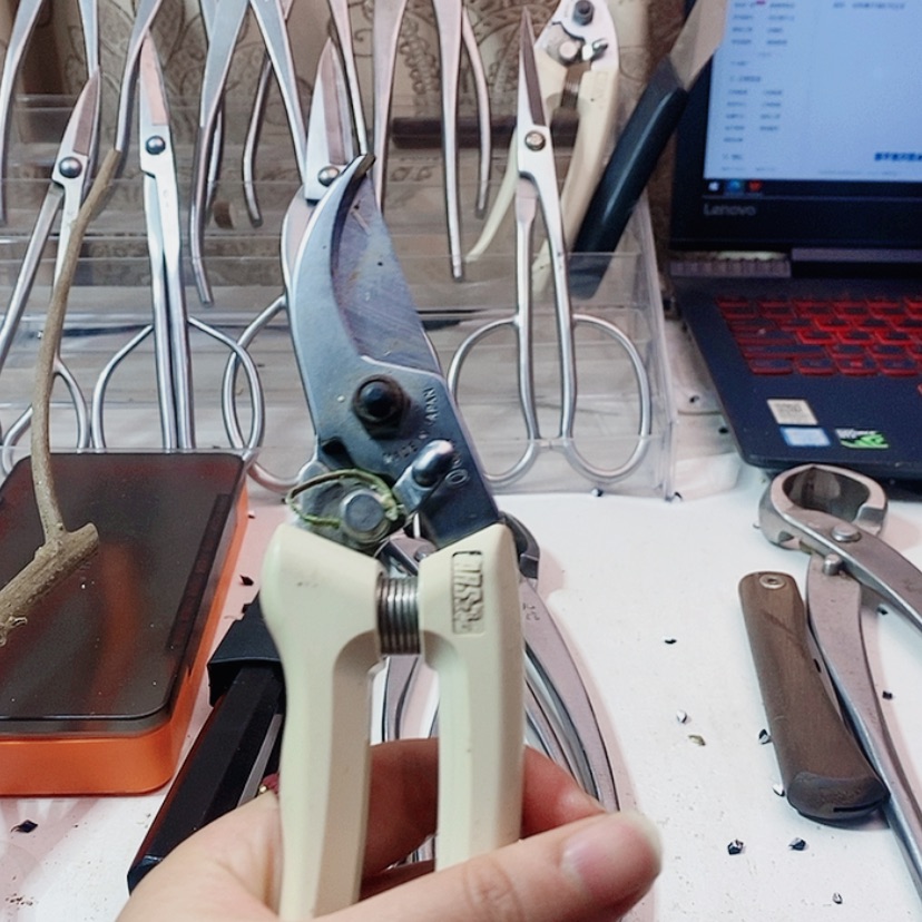 【闪购商品】爱丽丝130