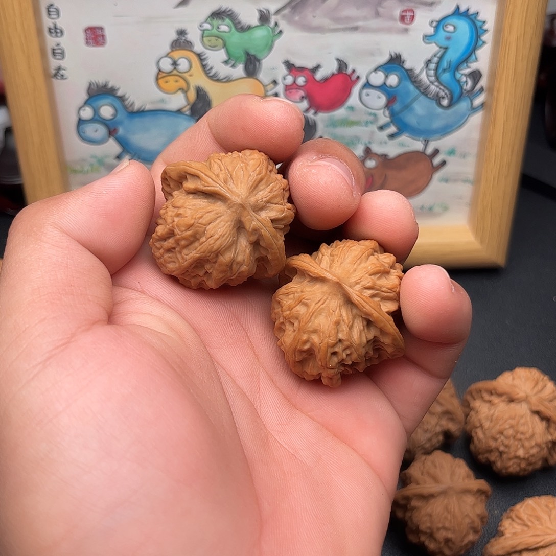 37全品无修野狼%%%%%%