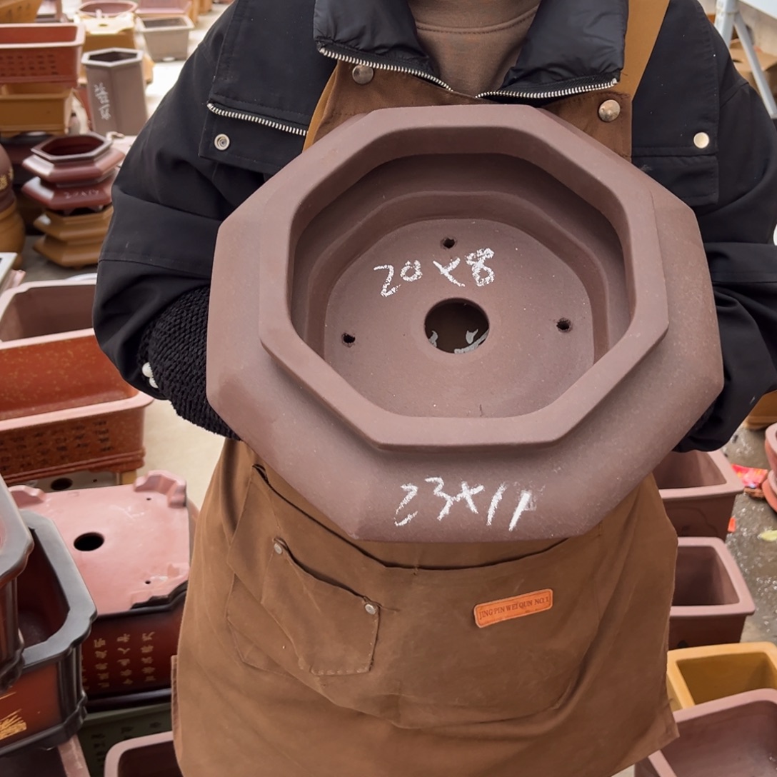 花盆紫砂盆景艺术