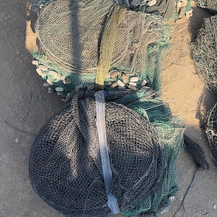 快***康5282952982598250