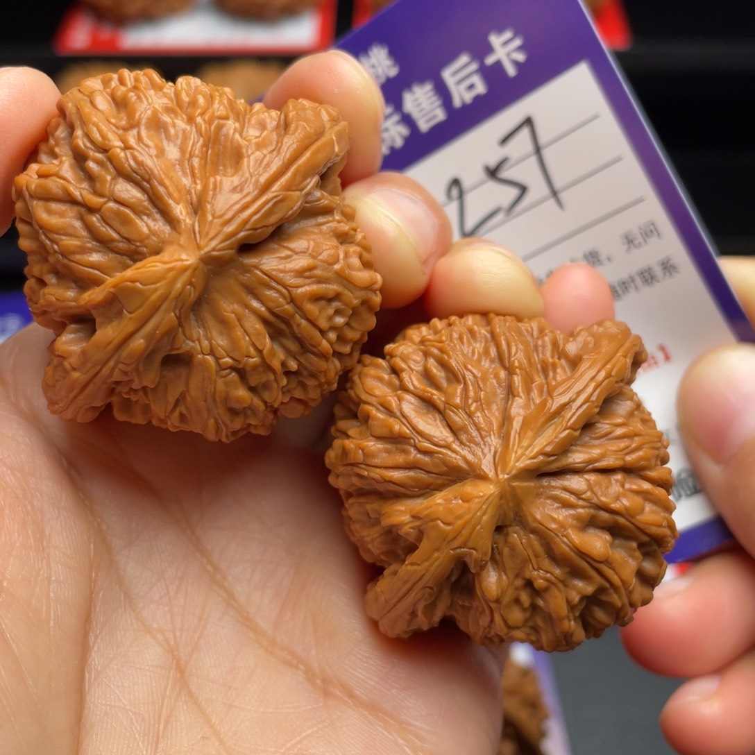 文玩核桃把件白狮子44尺