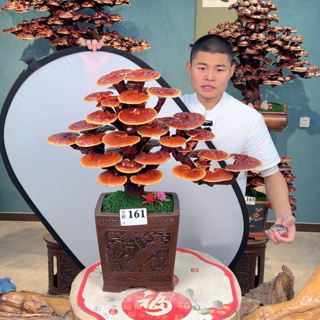 无花朵88888888888