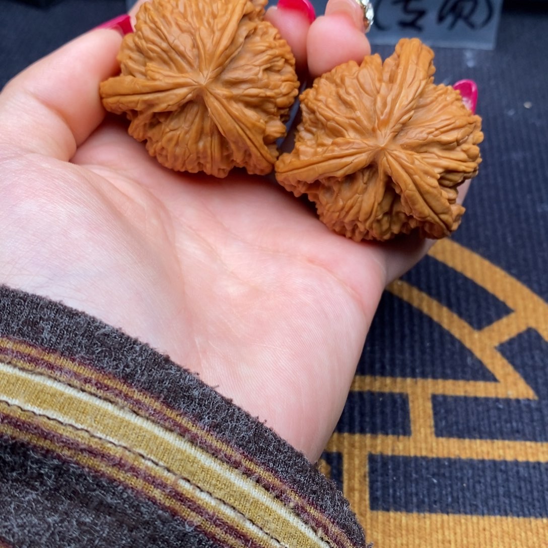 ***把件文玩核桃白狮子