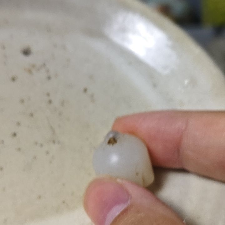 瓷片瓷器1111111111瓷器瓷器