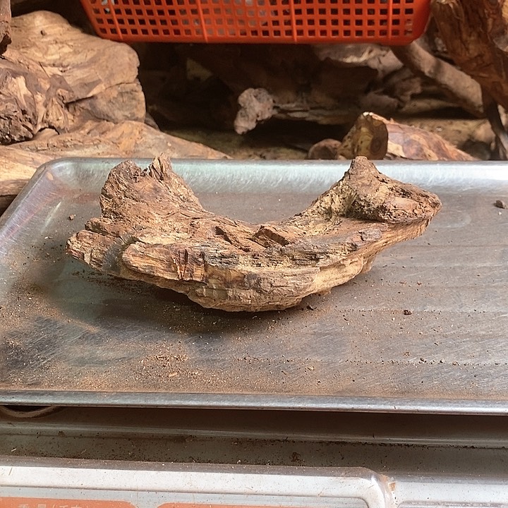 花梨木类自*湾海南黄花梨