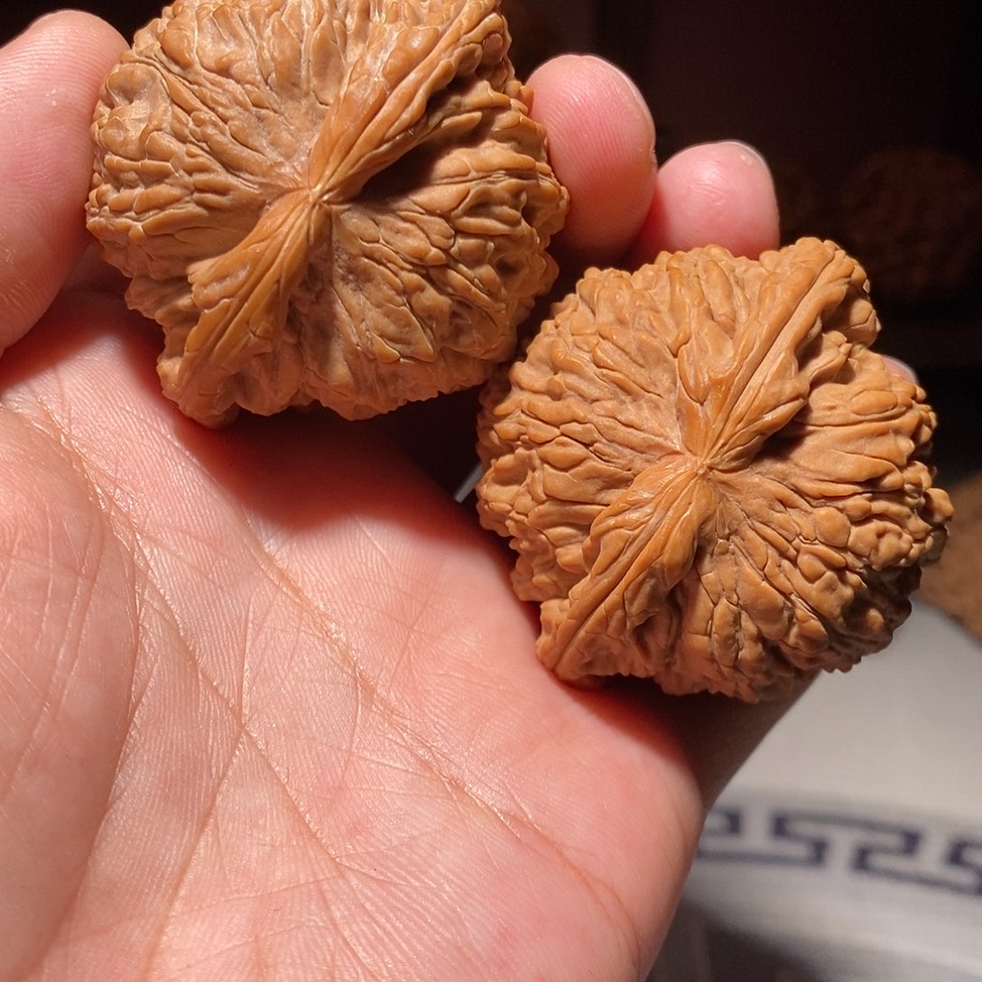 文玩核桃把件026白狮子49尺有修