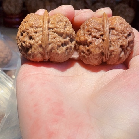 文玩核桃把件独孤蟾带彩色差40