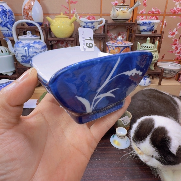 碗19啊啊啊啊啊啊啊啊啊啊啊啊