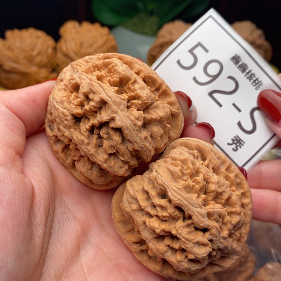 文玩核桃把件大粗筋48