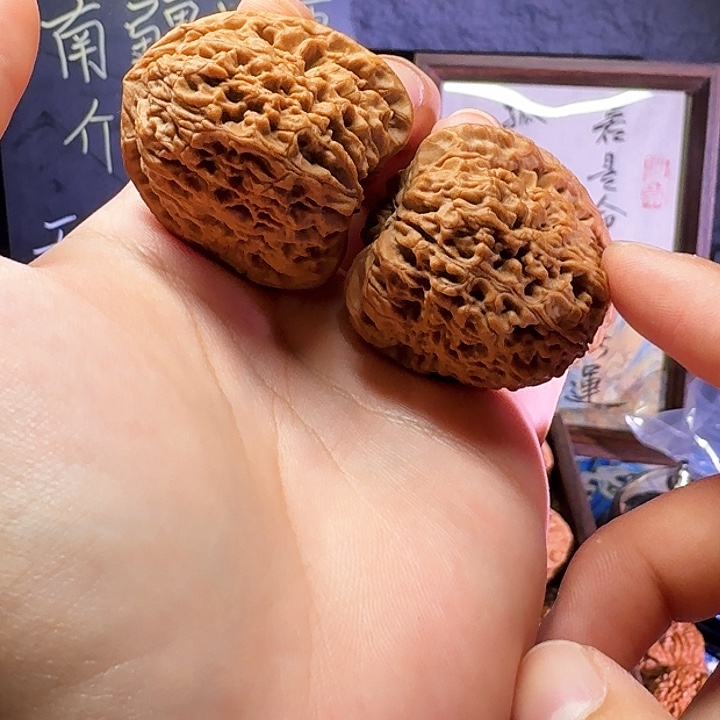 大叶紫檀（黑酸枝木类）