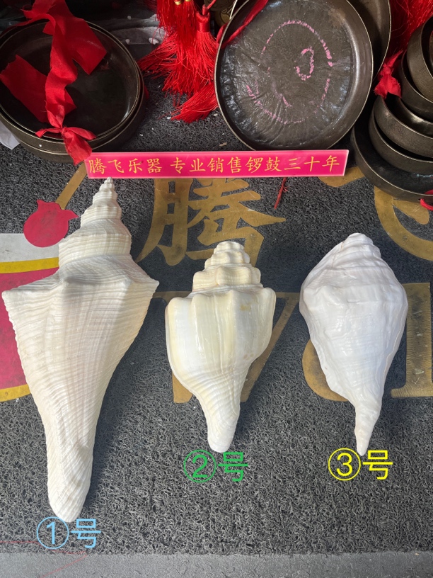 腾飞优选①②③公海角（18～32公分）