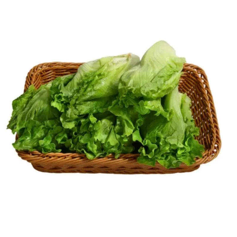 山姆 供港生菜 600g