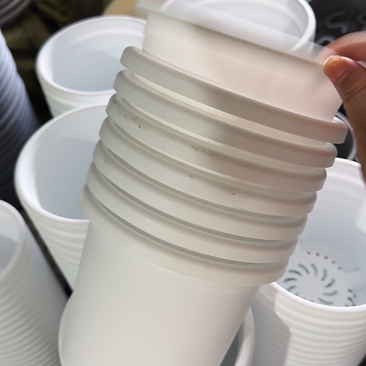 微瑕2#白色12个无托