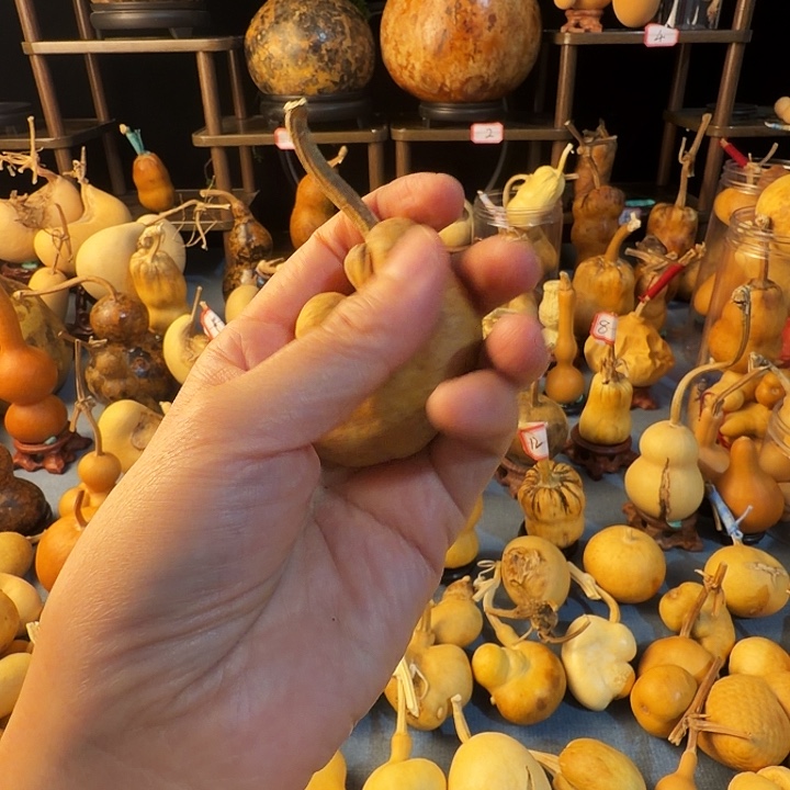 凯***…葫芦大厚皮是真的好看