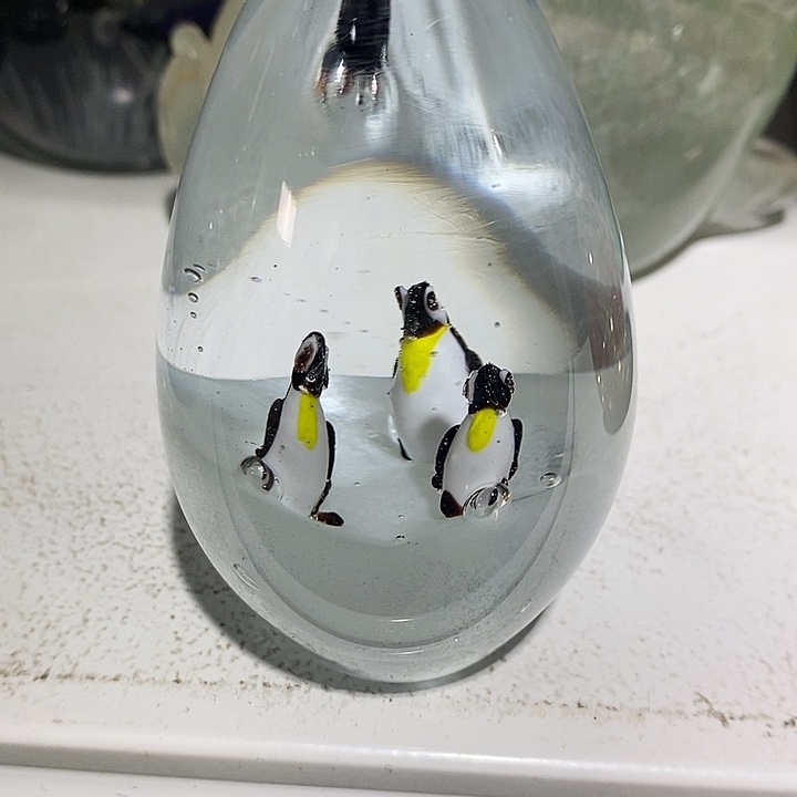 2536655656585685588888