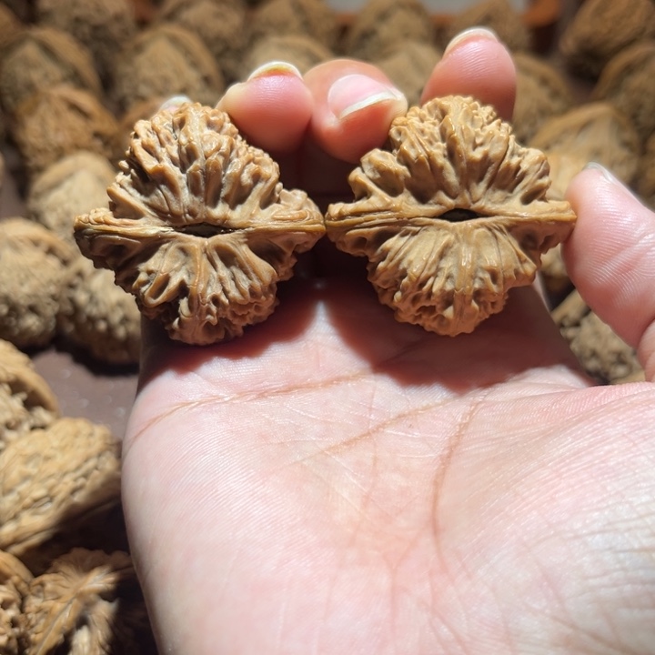 攒***士核桃手串/手链南疆41尺寸有色差