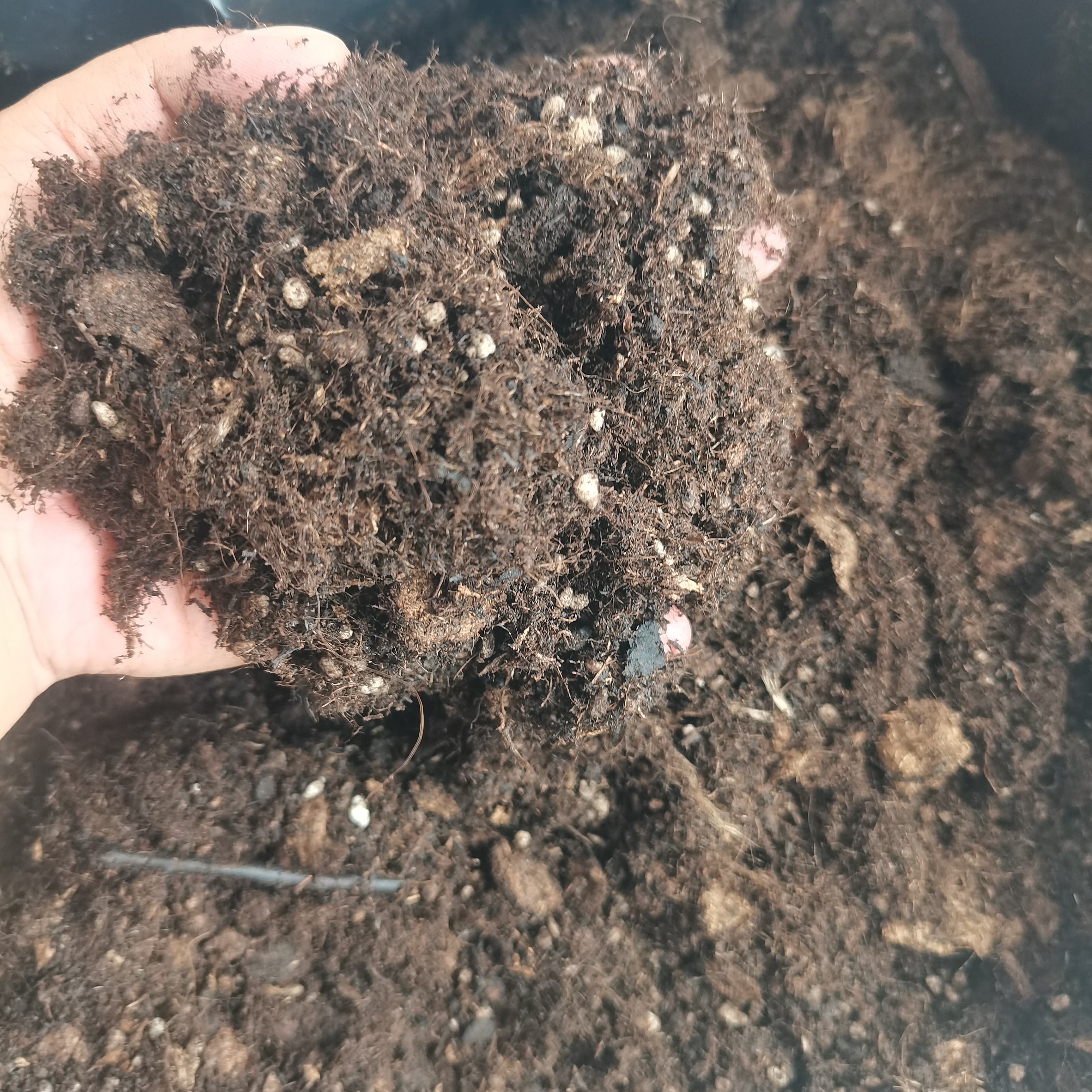 密叶猴耳环专用土疏松透气适合家庭盆栽绿植种植10L （约4-5斤）