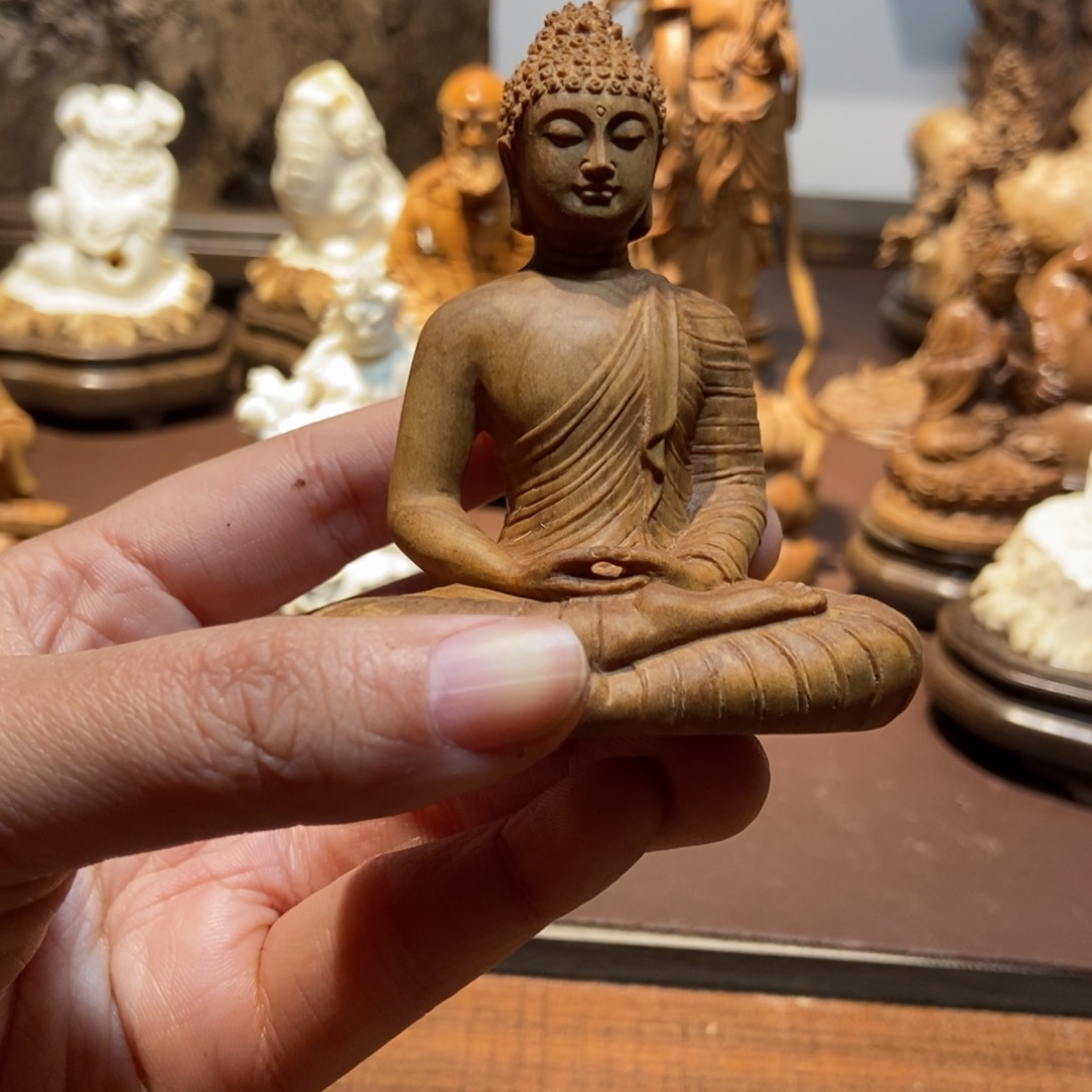 核桃木/黑胡桃（胡桃木）冬*丫