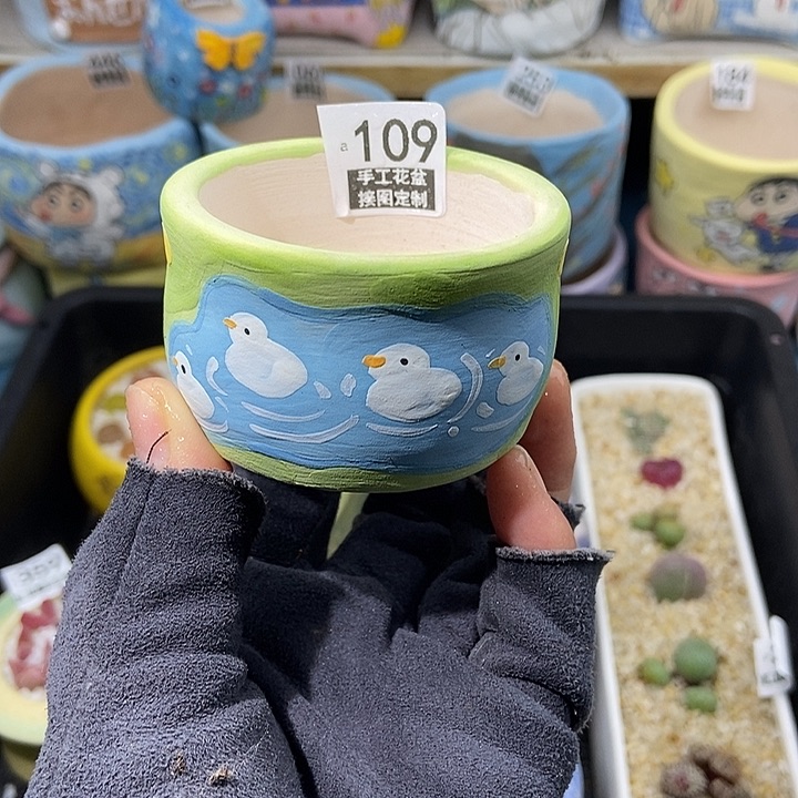 大舅生石花肉锥多肉109