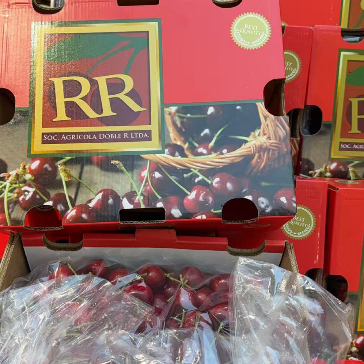 空运RR车厘子3J JJ （5斤）/箱智利