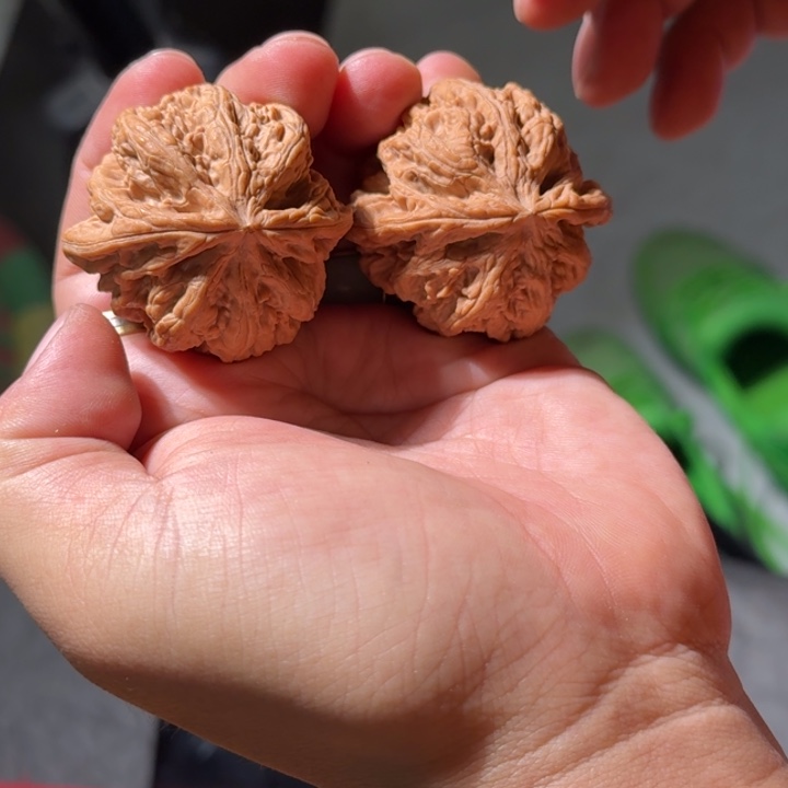 把件文玩核桃517号全品大粗筋43-44mm