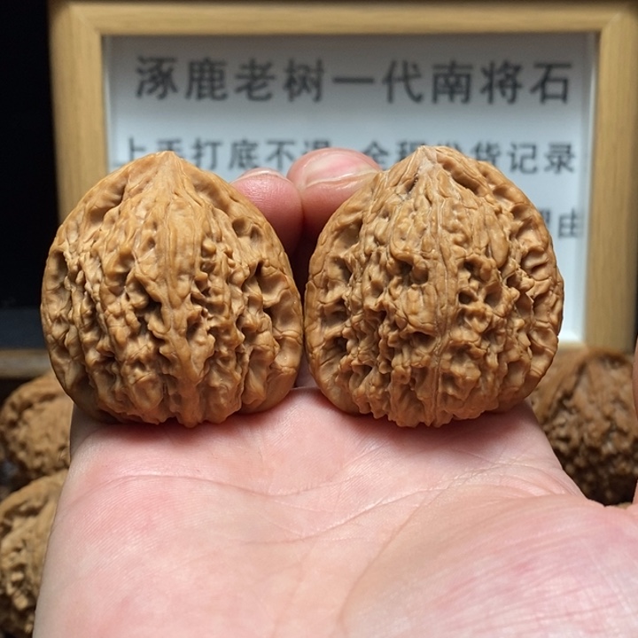 文玩核桃吊坠鹰嘴41/38/42+