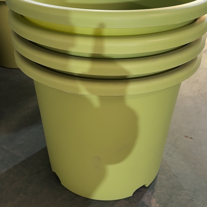 编号2221口46无托4个