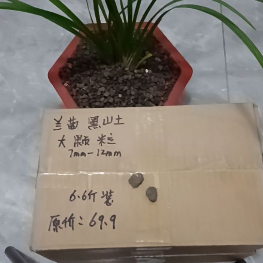 吴***家兰菌黑山土大颗粒6.6斤