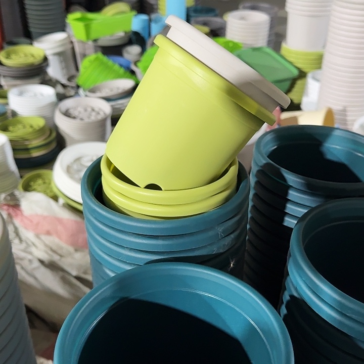 口径14果绿10个无托