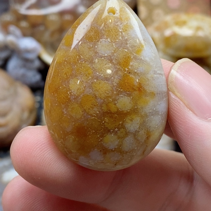 硅化珊瑚（珊瑚玉）颈饰未镶嵌小吊坠