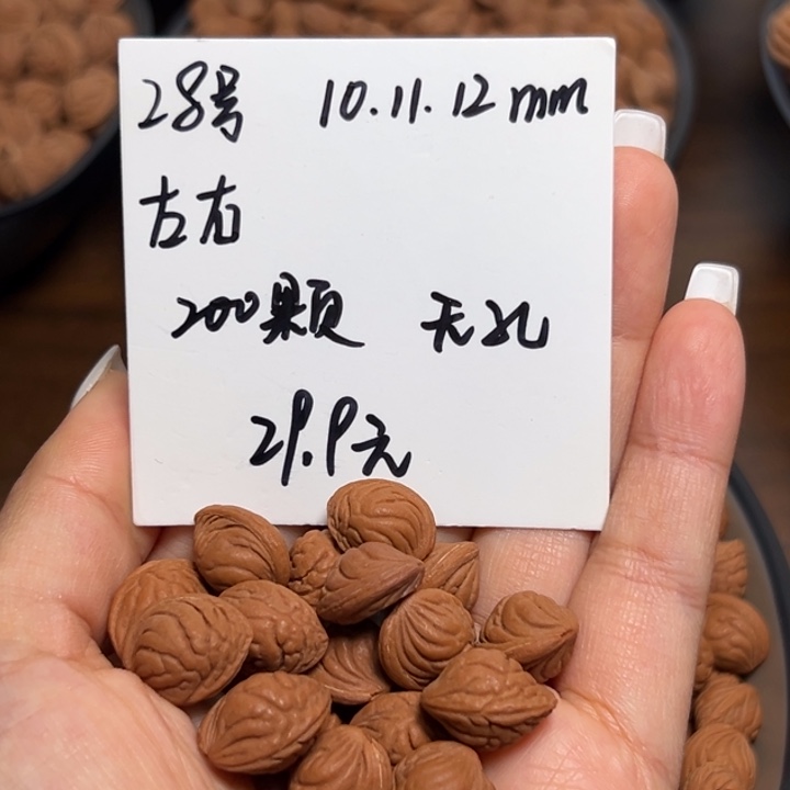 木质类雕刻料肚卡10-11-12 200颗