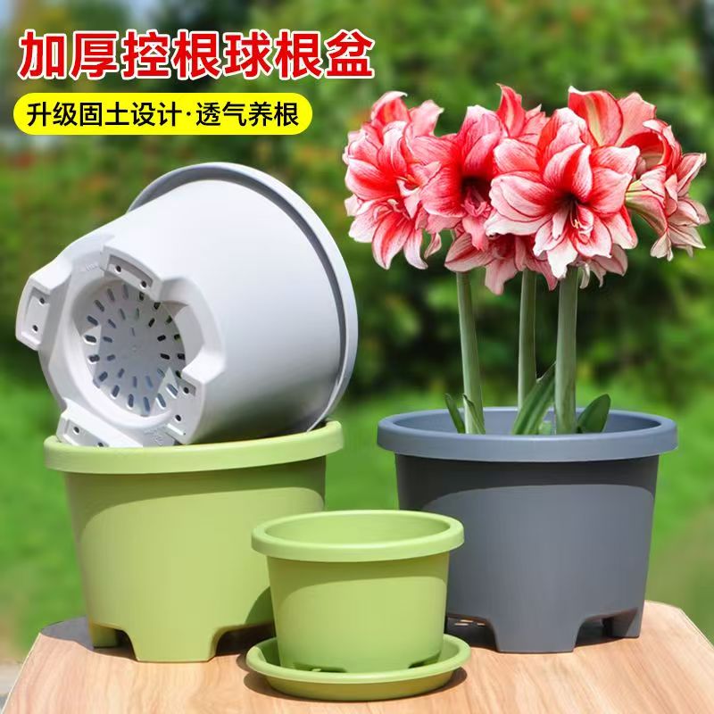 控根球根盆 大花盆阳台百合郁金香朱顶红矮胖种植盆家用庭院