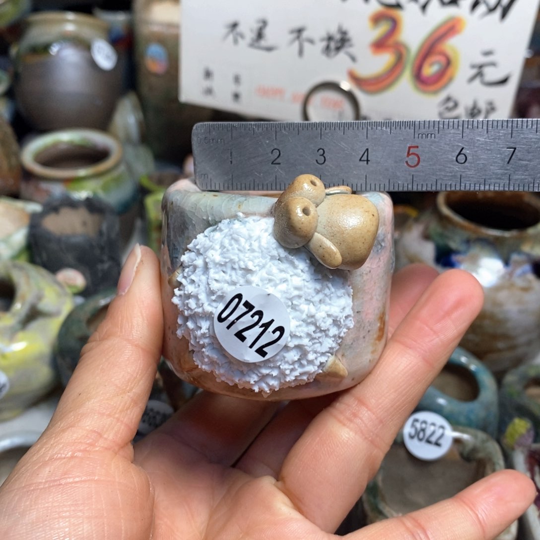 花盆拍3送一个小礼物