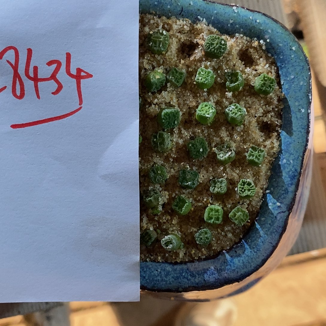 花***货28434。  一组。      一组。 
