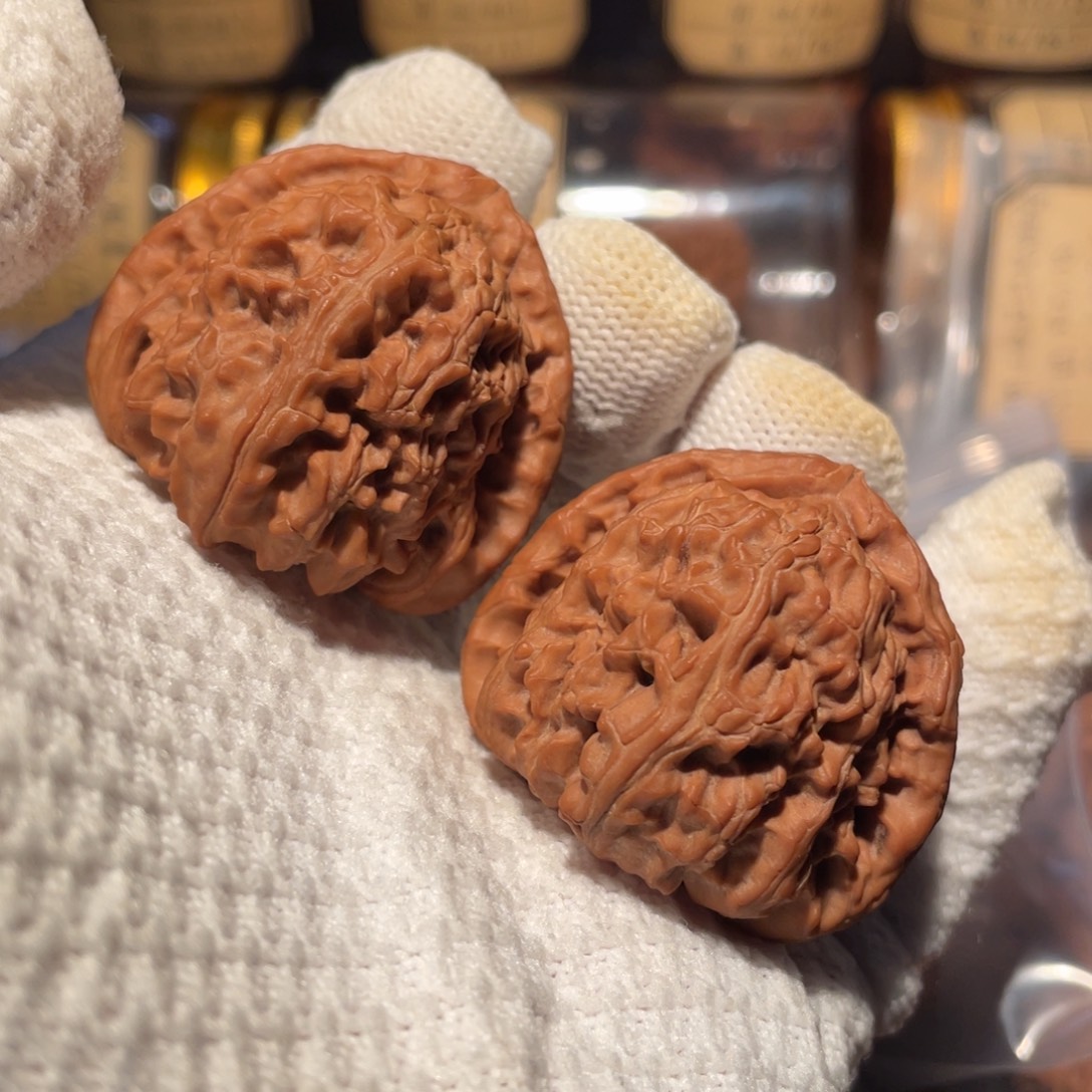 核桃41三角白bbbb