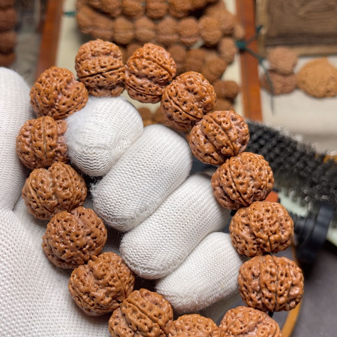 金刚菩提手串梁产区深沟蜂窝梅花双龙头货22+