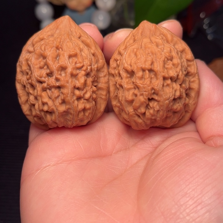 把件文玩核桃蚂蚁王37