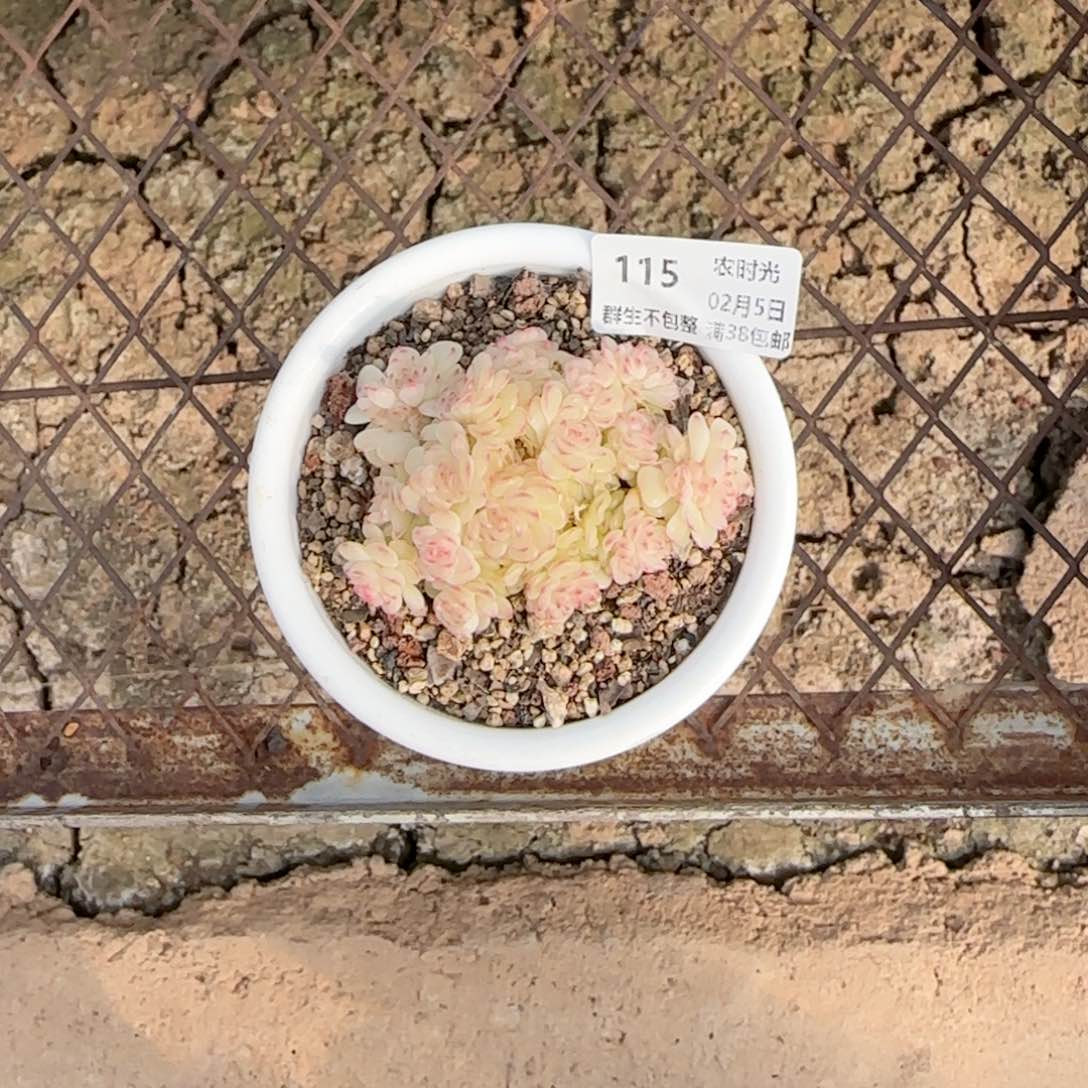 a**.【闪购商品】0205-115（ht-40）