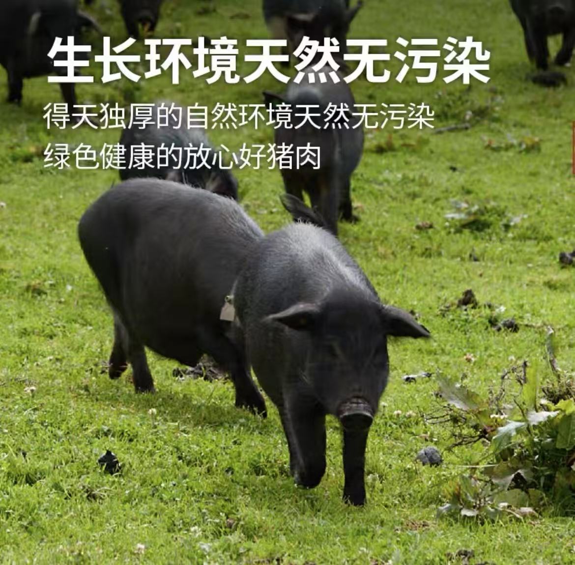 【精排骨】正宗散养吃草一年半跑山猪黑土猪排骨京东冷链速冻发货