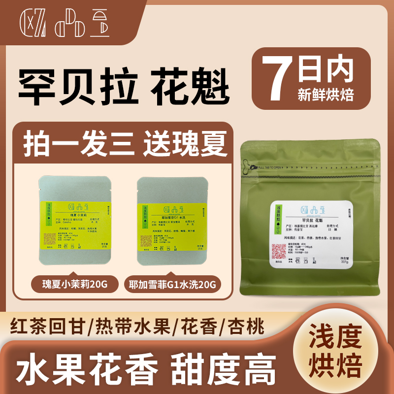 罕贝拉 花魁  单品227g手冲 埃塞俄比亚 水果花香 甜感高