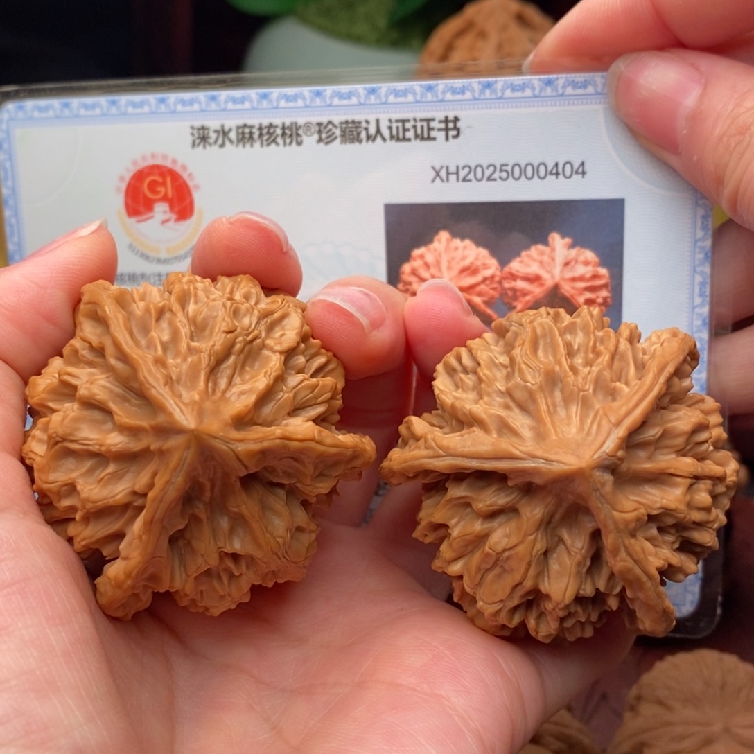 文玩核桃把件龙纹奔49