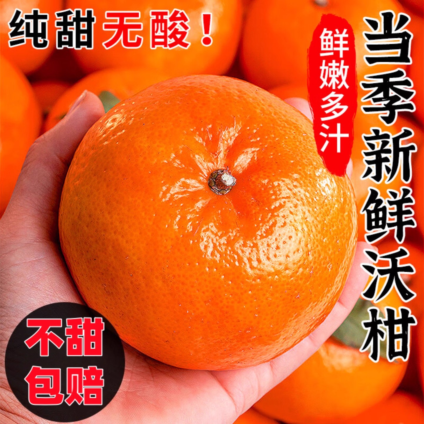 农家自产自销爱媛橙  纯甜口感 现摘现发