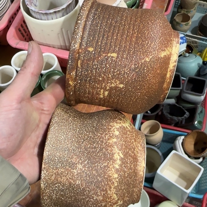 2《所有单满15发（花盆）》12+10