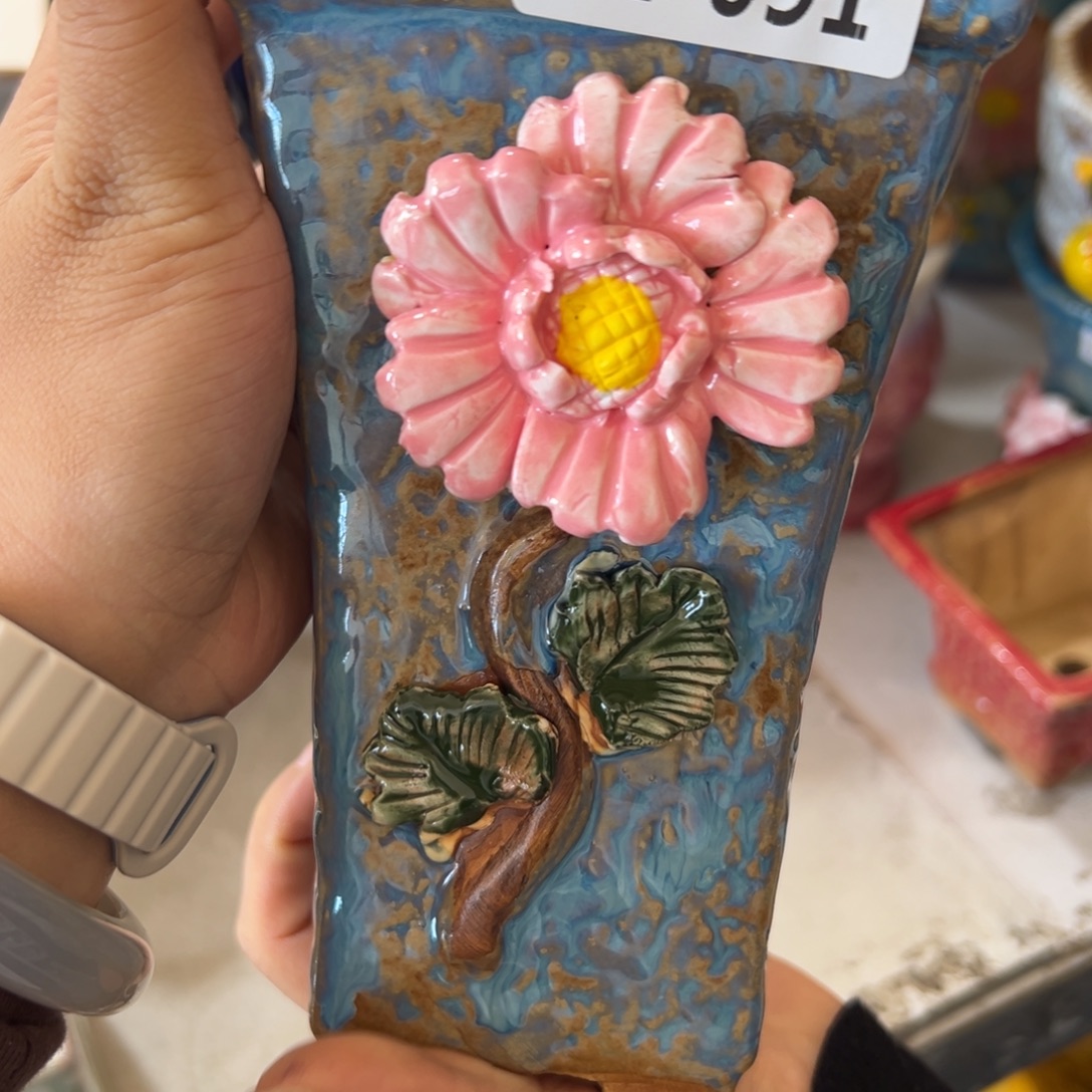 花盆满20米发货，爱退款拉黑瑕疵291