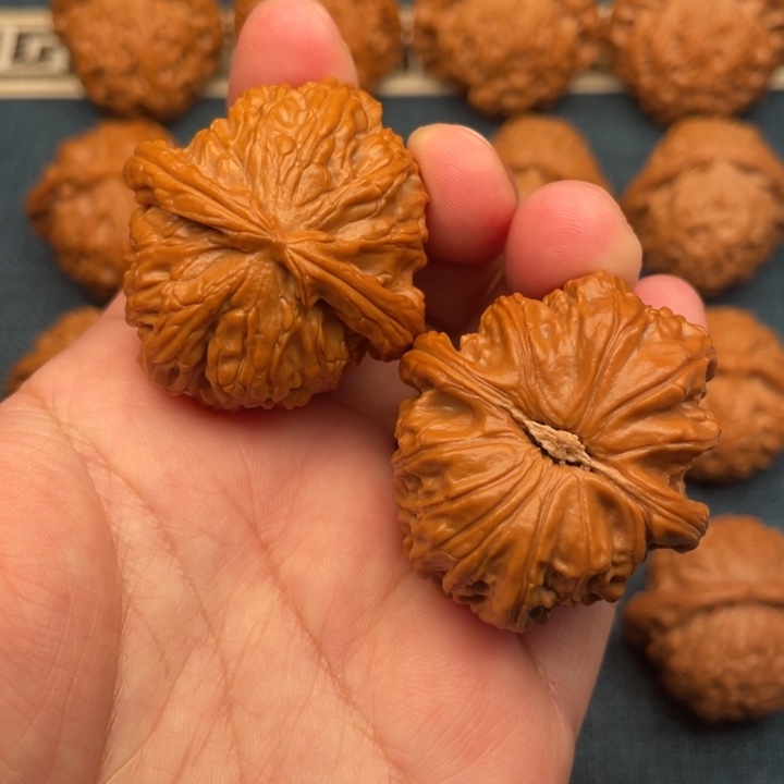 把件文玩核桃全品无修38.5白狮子