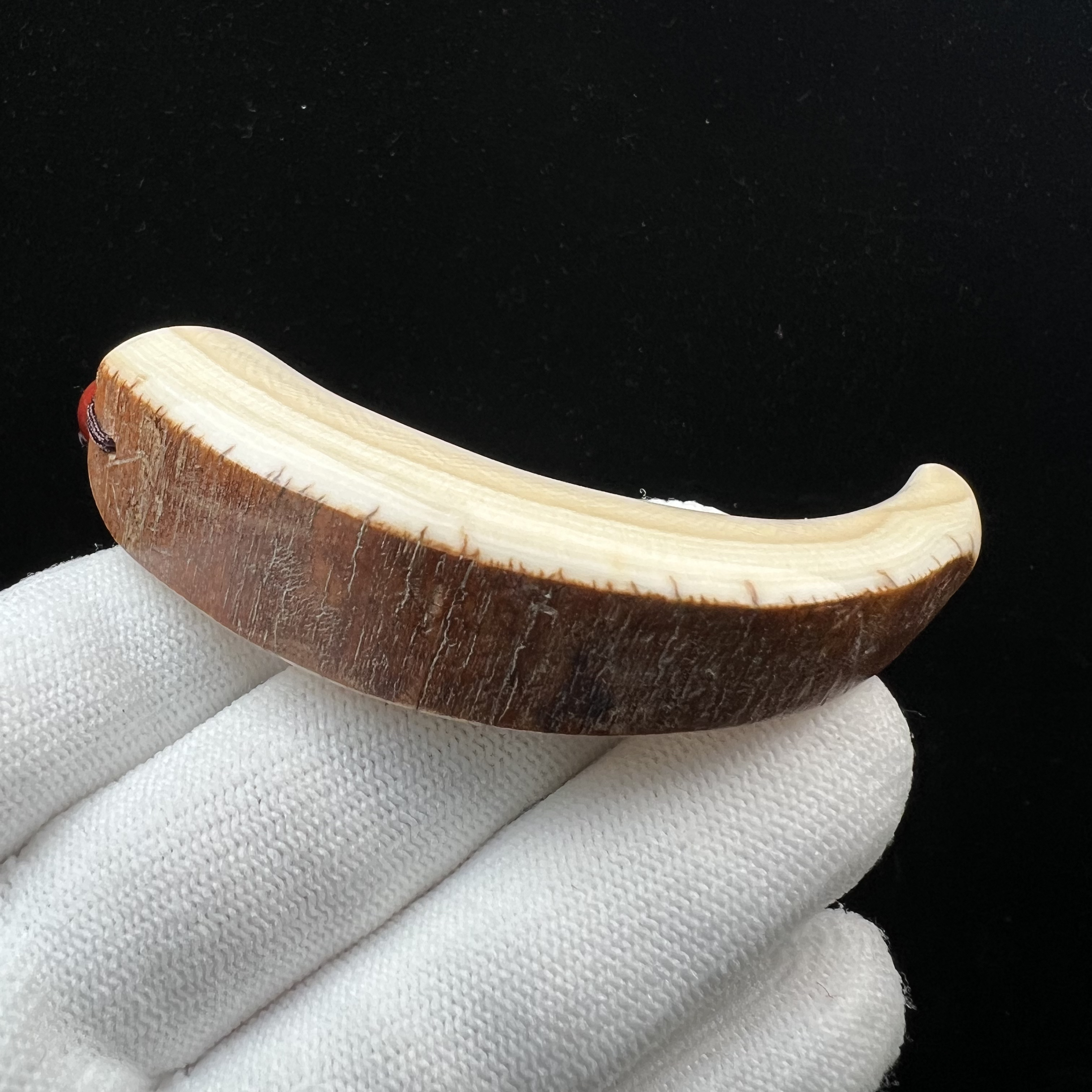 D4208天然猛犸牙牙尖87mm支持鉴定 假一罚四