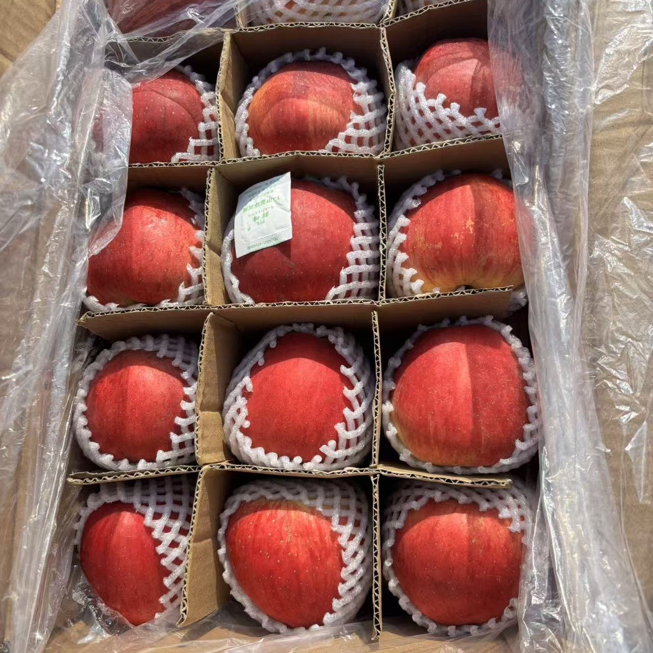 昭通红富士苹果 1000g云南省